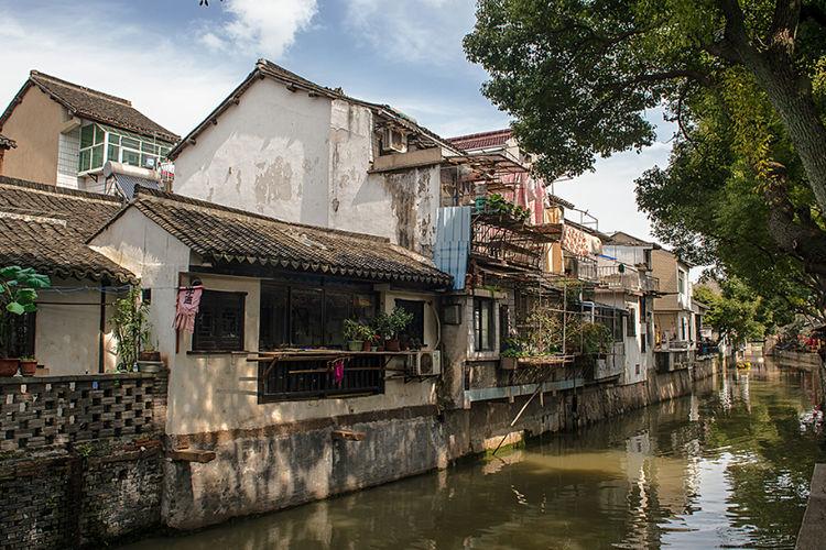 矿工打地鼠